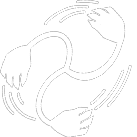 Silver Entangling Bola ability icon from Deadlock Wiki